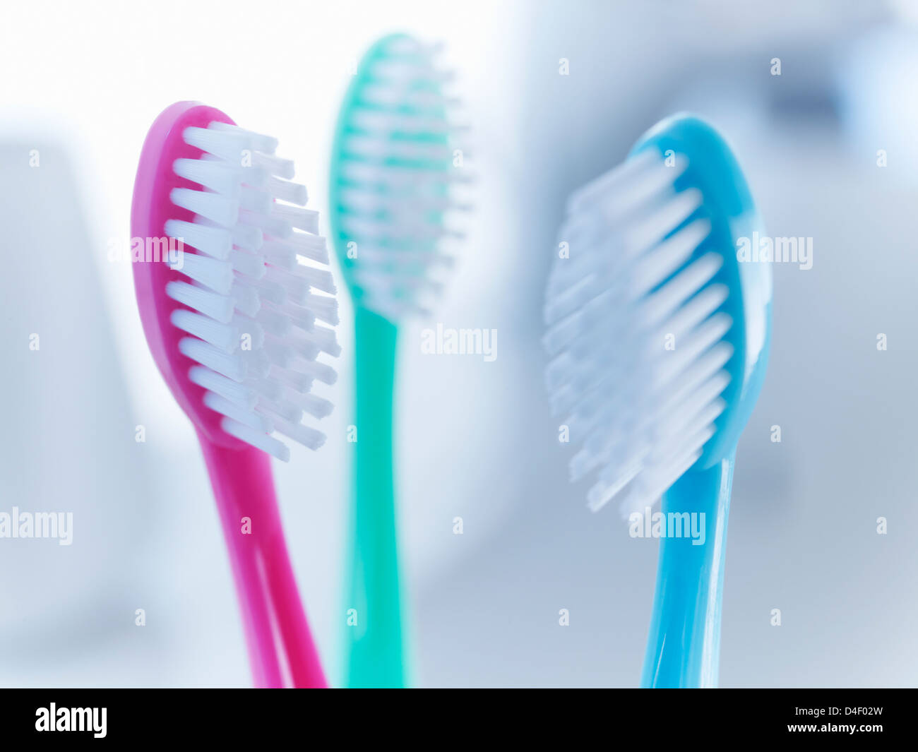 Close up de brosses à dents Banque D'Images