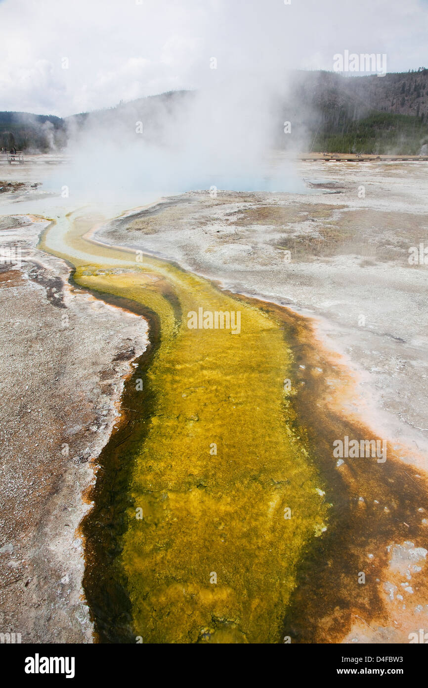 L'augmentation de vapeur à partir de hot spring en basin Banque D'Images