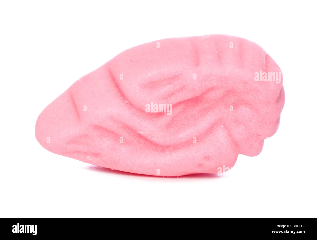 La crevette rose sweet découpe studio Banque D'Images