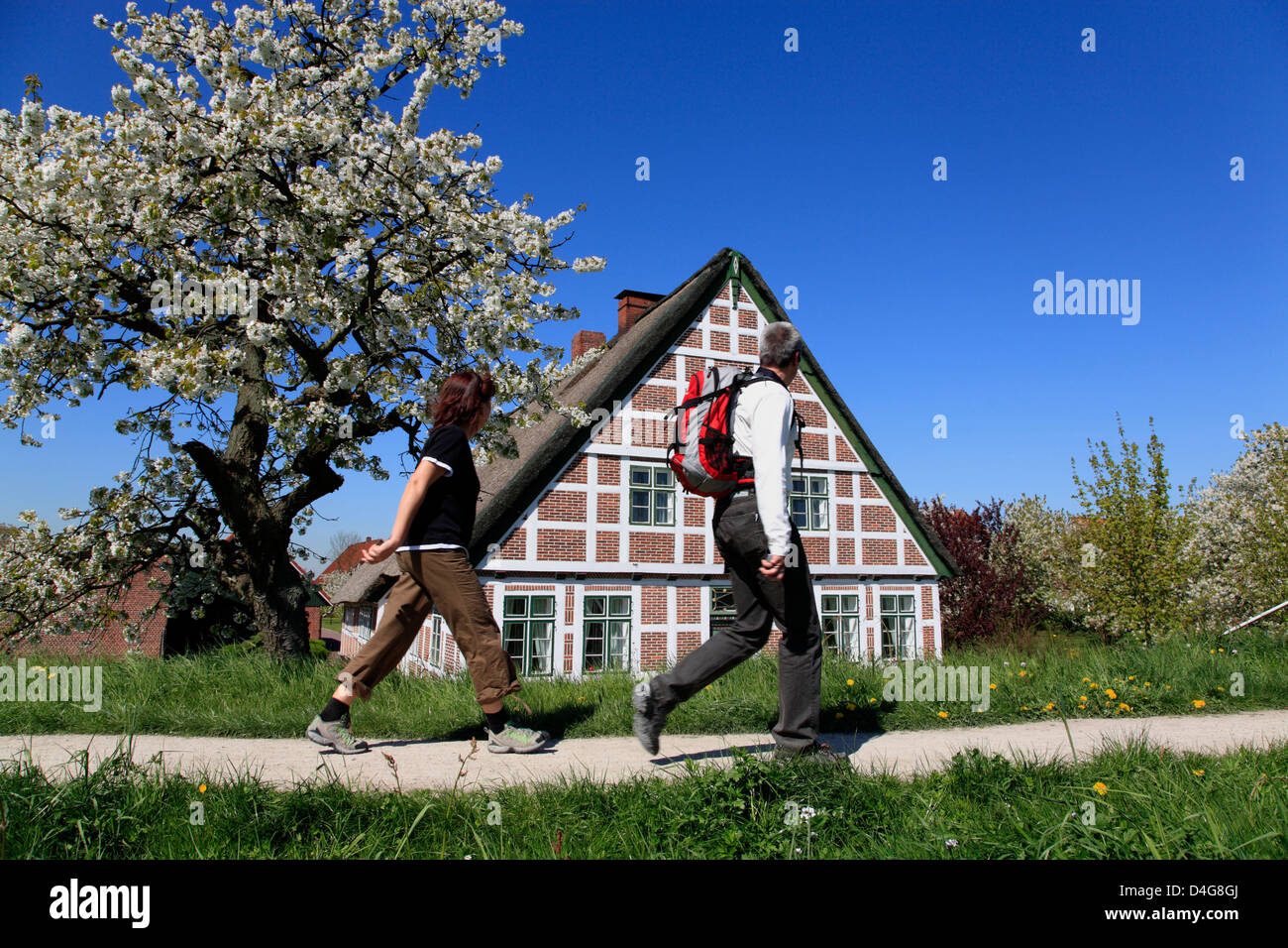 Altes Land, randonneur à maison à colombages à fleuve Este Banque D'Images