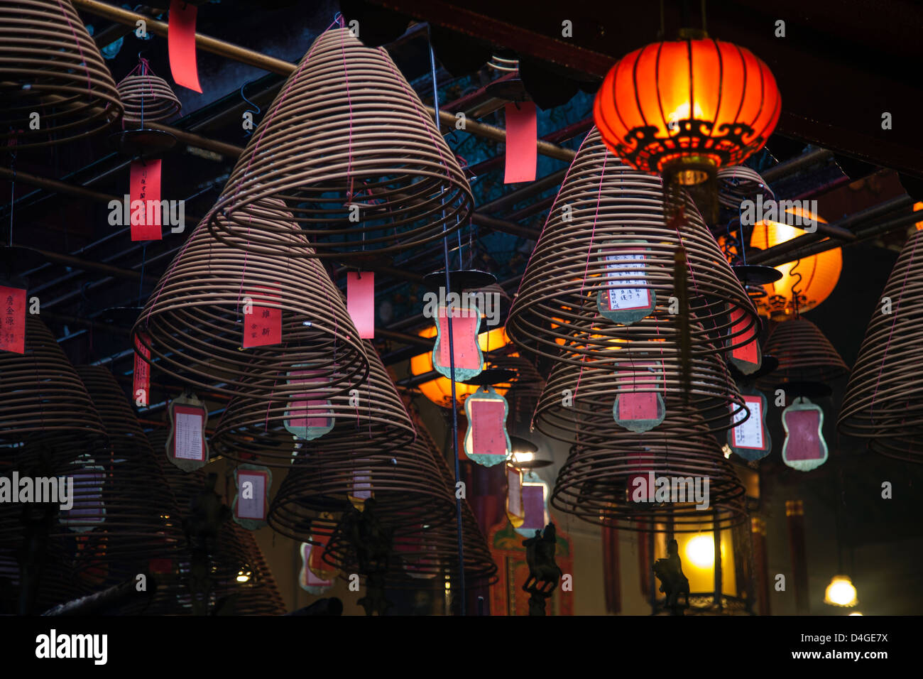 Lové dans la pendaison d'encens Temple Man Mo à Sheung Wan, Hong Kong. Banque D'Images