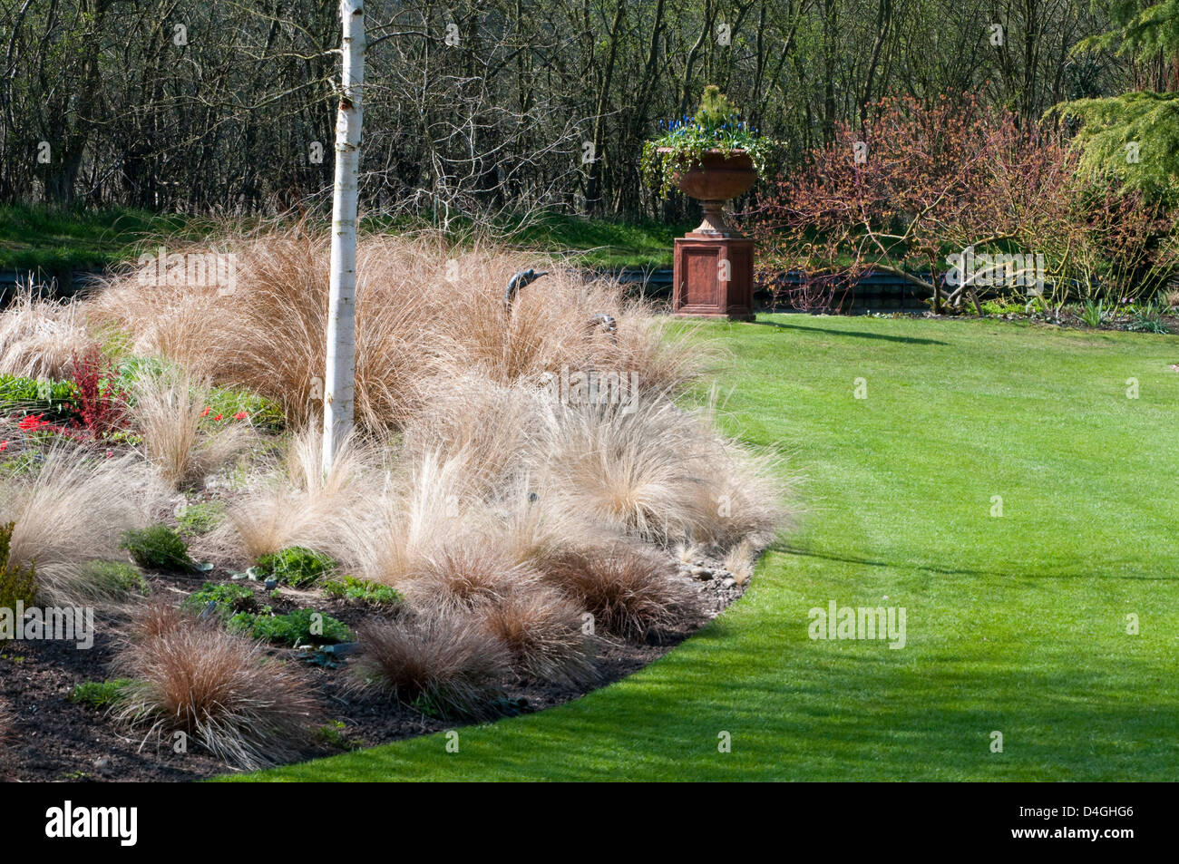 John's Garden à Ashwood pépinières, Pattingham hiverné herbes au printemps Banque D'Images
