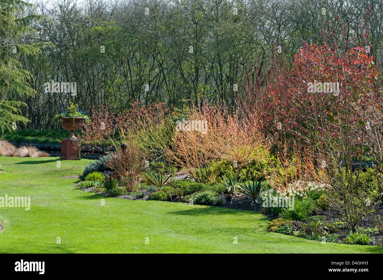 Jardin du printemps à l'ANAH Pépinières, Dudley. John Massey's garden, avec tige couleur et le nouveau feuillage au printemps. Banque D'Images