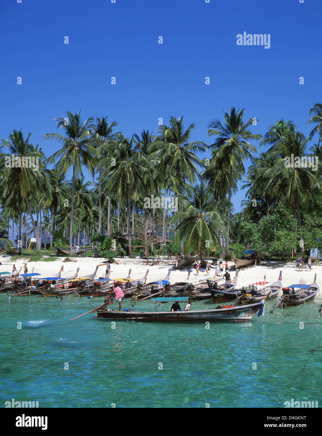 La baie de Ton Sai beach, Koh Phi Phi Don, Phi Phi Island, province de Krabi, Thaïlande Banque D'Images