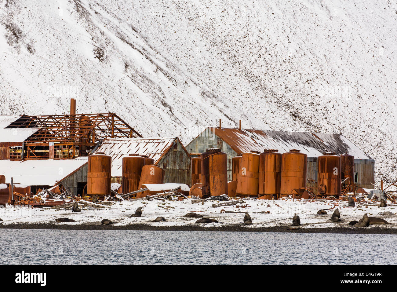 La station baleinière norvégienne abandonnés à Stromness Bay, la Géorgie du Sud, Sud de l'océan Atlantique, les régions polaires Banque D'Images