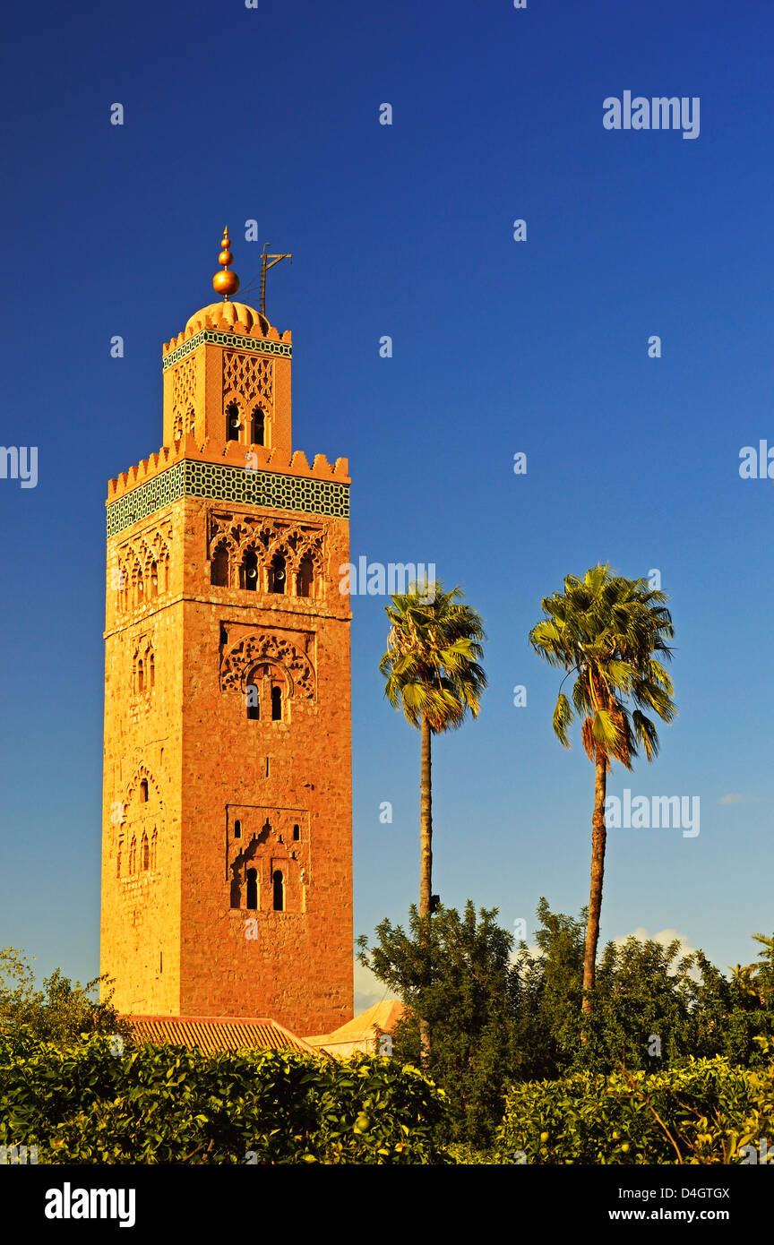 Mosquée de la koutoubia, Marrakech, Maroc, Afrique du Nord Banque D'Images