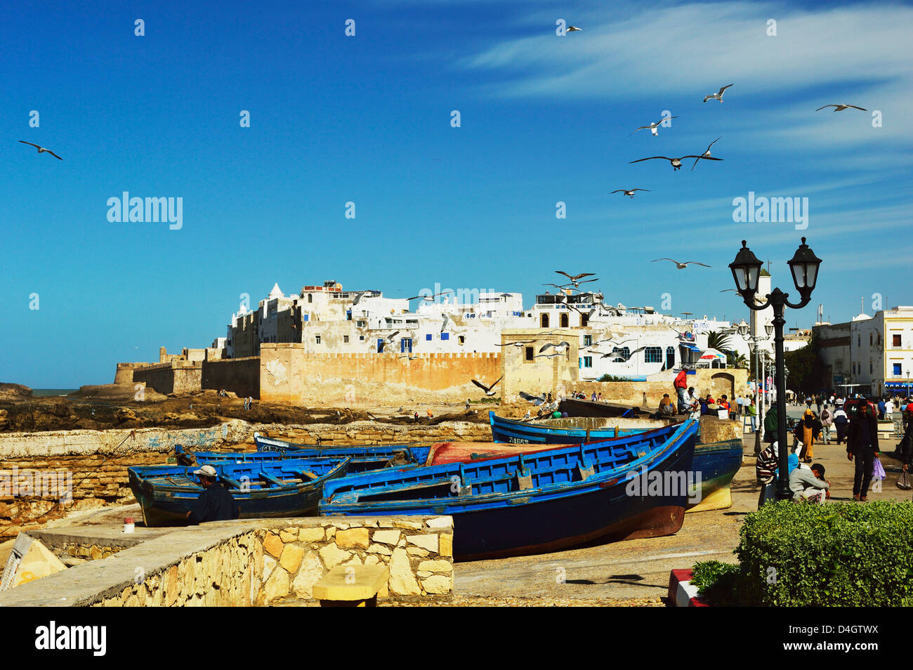 Essaouira, Côte Atlantique, Maroc, Afrique du Nord Banque D'Images