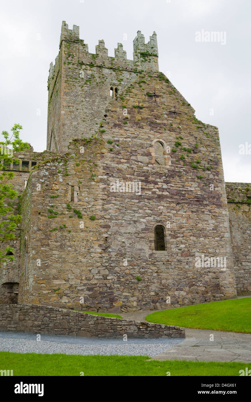 Abbaye de Jerpoint, comté de Kilkenny, Leinster, République d'Irlande (Eire) Banque D'Images
