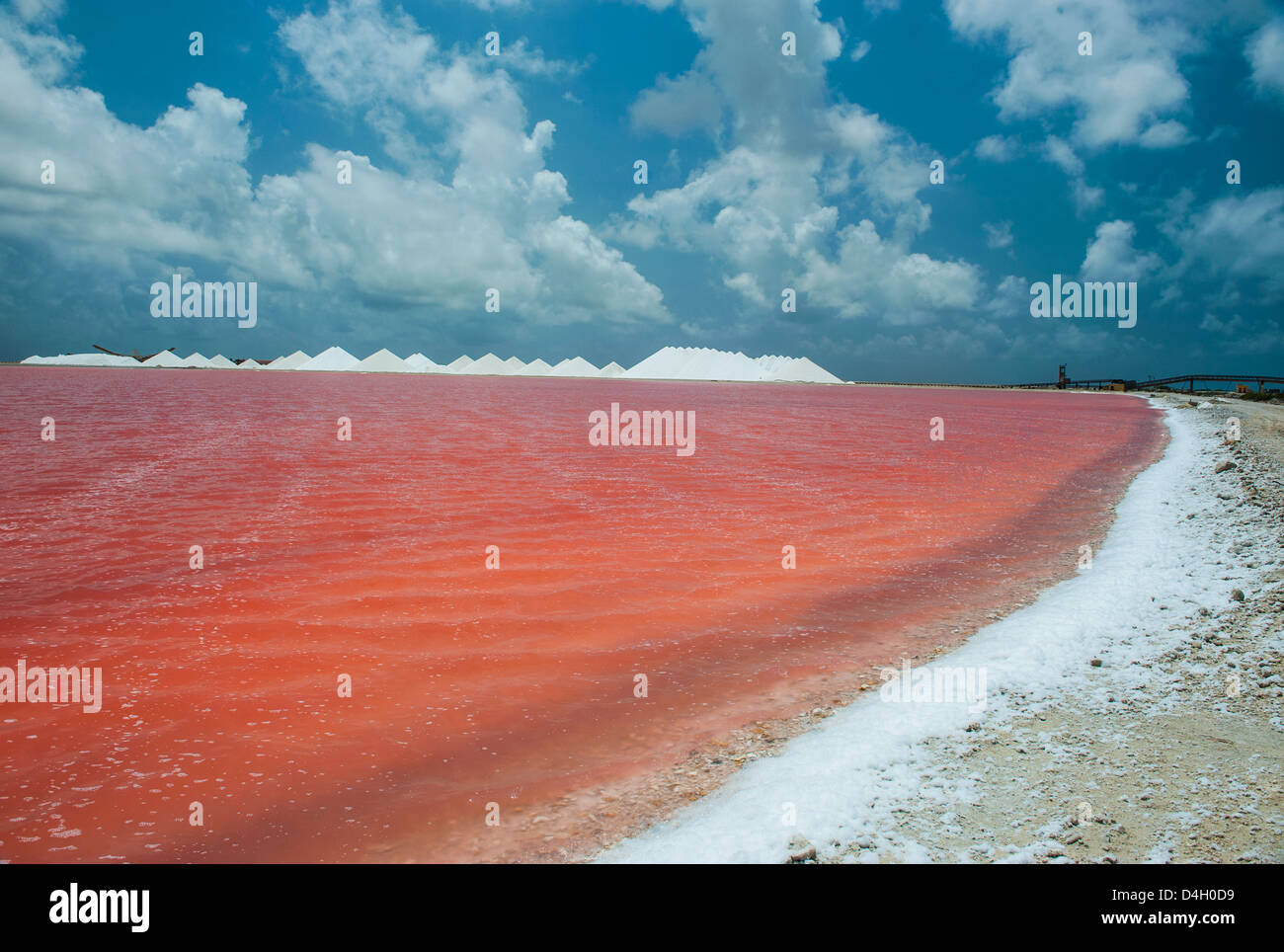 Une mine de sel saline à Bonaire, Îles ABC, Netherlands Antilles, Caraïbes Banque D'Images
