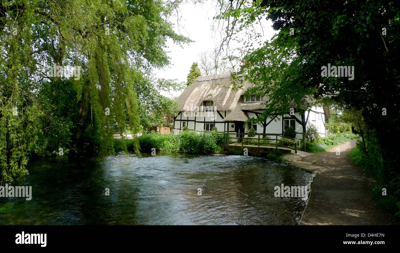 Cottage dans la campagne anglaise, Alresford (Hampshire). Banque D'Images