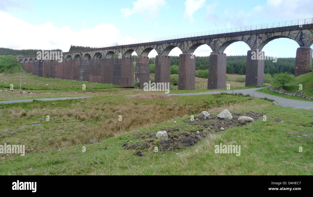 De l'eau grand Viaduc de la flotte à l'extrémité sud de Galloway Forest Park en Ecosse. Banque D'Images