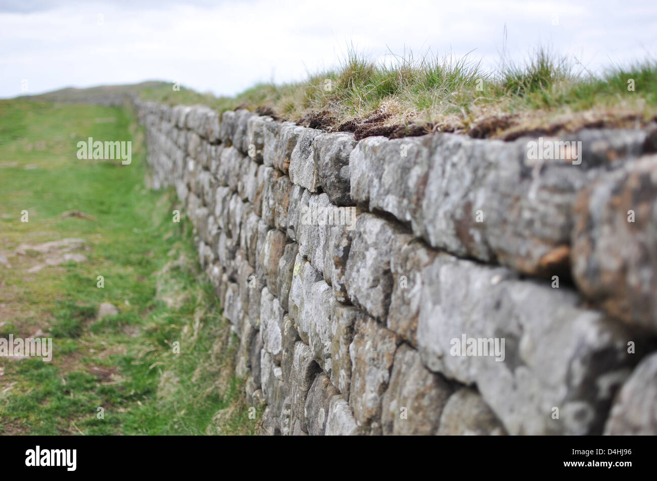 Mur d'Hadrien, à l'acier Rigg, Parc National de Northumberland, en Angleterre. Banque D'Images