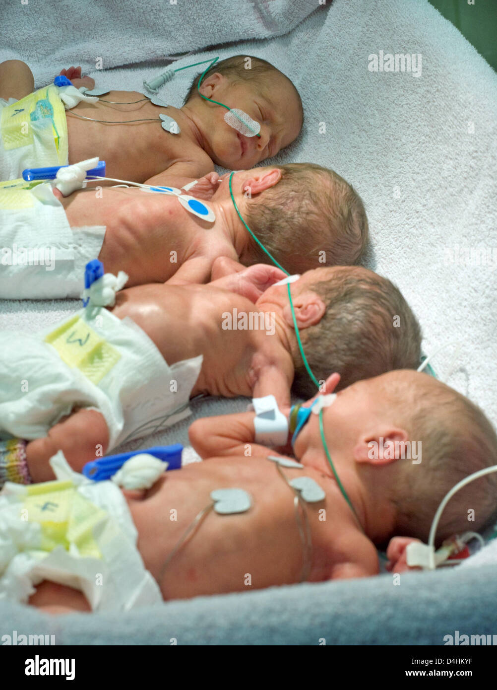Quadruplets photographié à l'hôpital universitaire de Luebeck, Allemagne, 23 janvier 2009. Ils ont donné naissance à la 32e semaine de grossesse par césarienne, tous les quatre d'entre eux et de leurs 31 ans et mère sont en bonne santé. Photo : ULRICH PERREY Banque D'Images