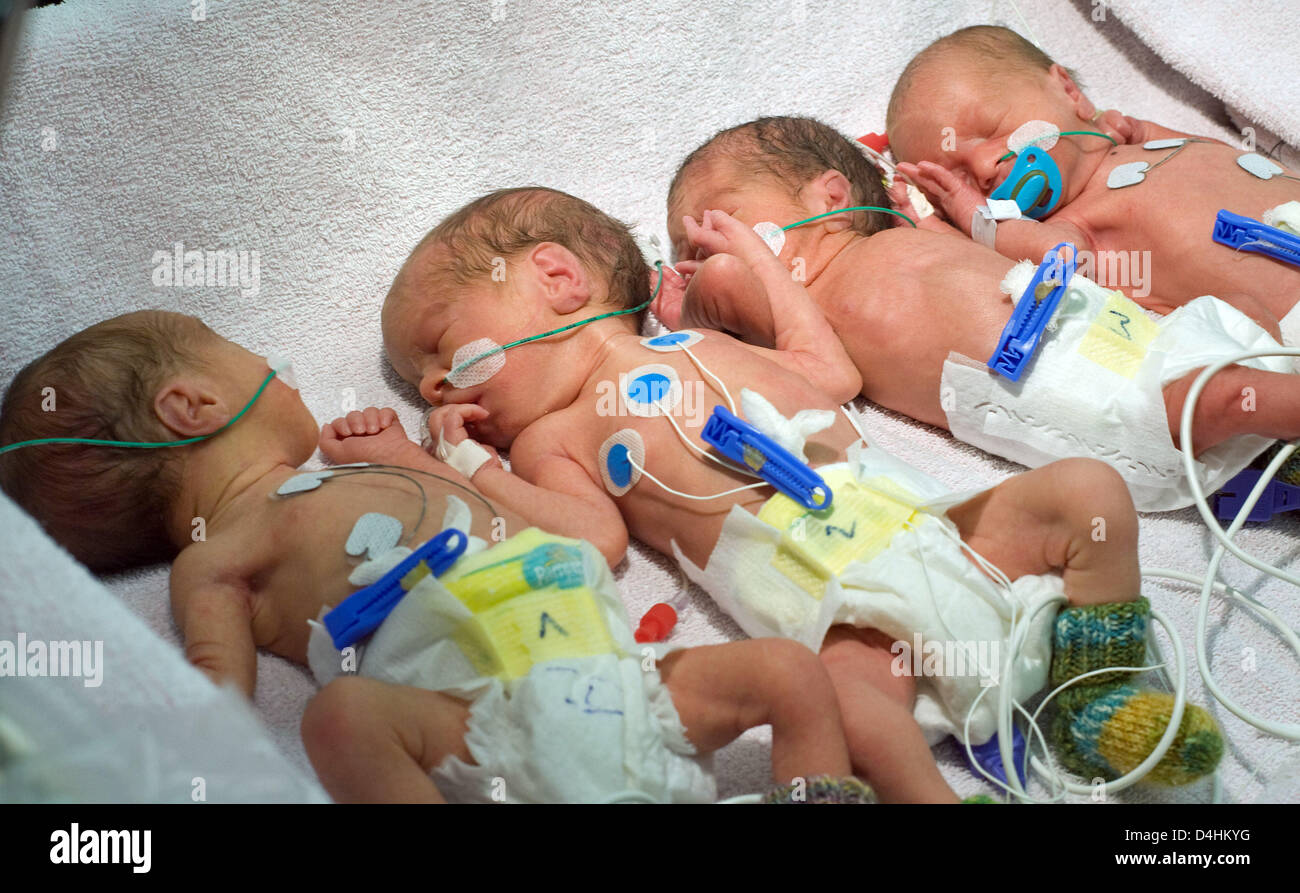 Quadruplets photographié à l'hôpital universitaire de Luebeck, Allemagne, 23 janvier 2009. Ils ont donné naissance à la 32e semaine de grossesse par césarienne, tous les quatre d'entre eux et de leurs 31 ans et mère sont en bonne santé. Photo : ULRICH PERREY Banque D'Images
