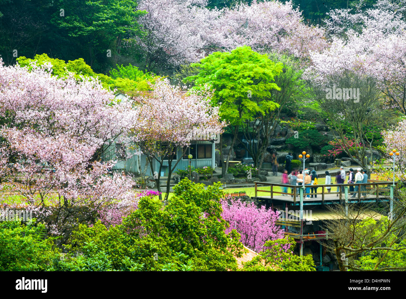 Sakura nice place pour adv ou autres fins utiliser Banque D'Images