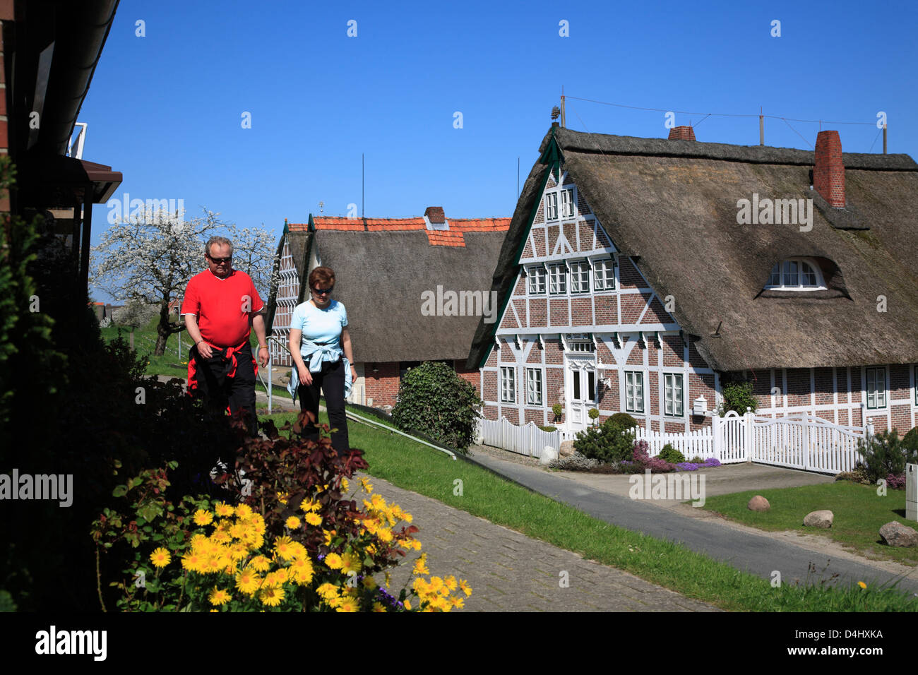 Altes Land, wanderer sur Luehe digue dans Steinkirchen, Basse-Saxe, Allemagne Banque D'Images