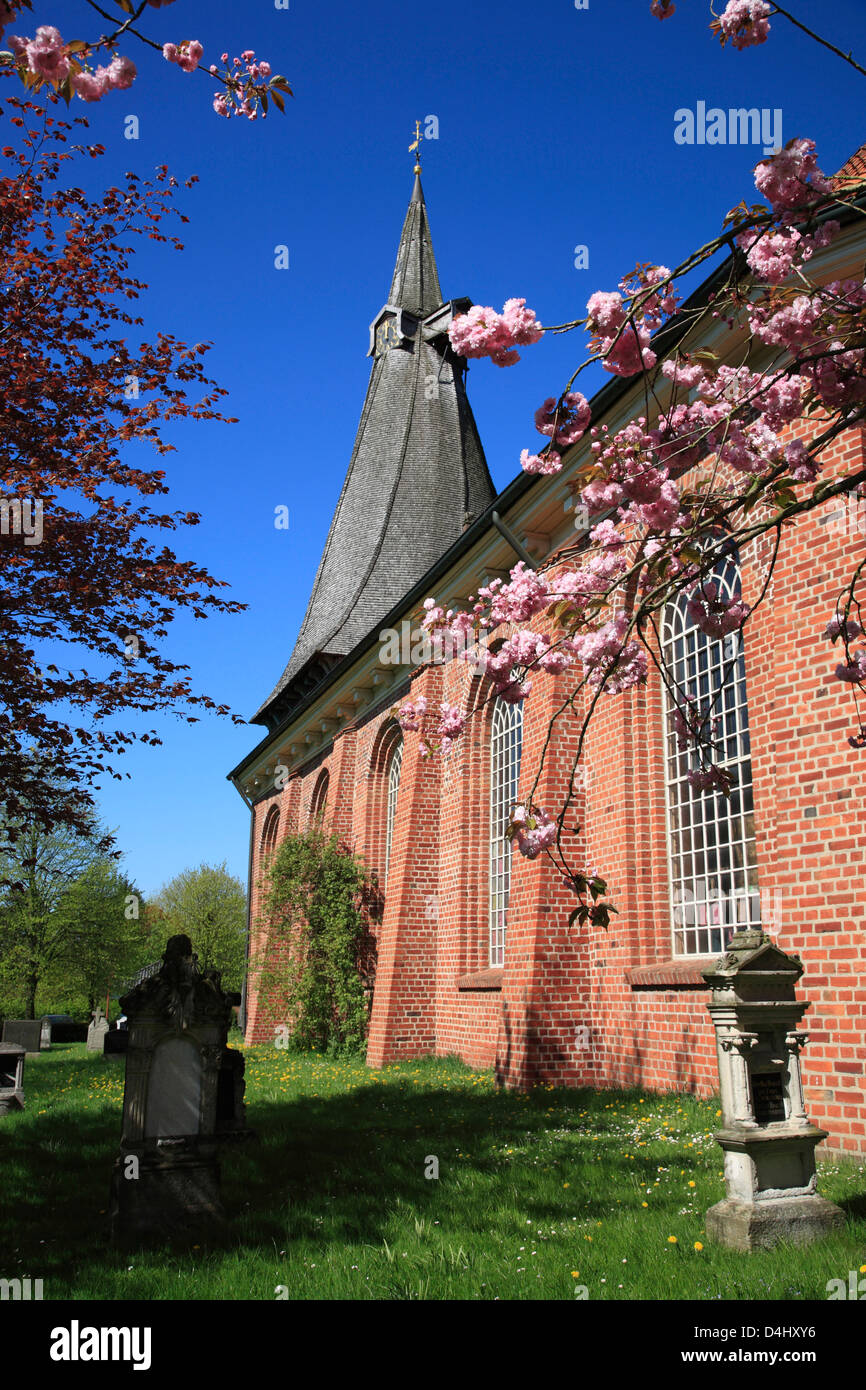 Altes Land, Estebruegge, St. église Martini, Basse-Saxe, Allemagne Banque D'Images