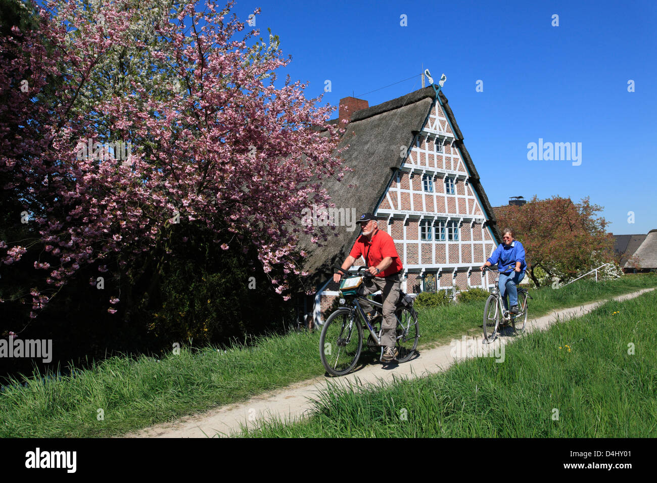 Altes Land, les cyclistes en face d'une ancienne ferme à colombages river Este dyke, Basse-Saxe, Allemagne Banque D'Images