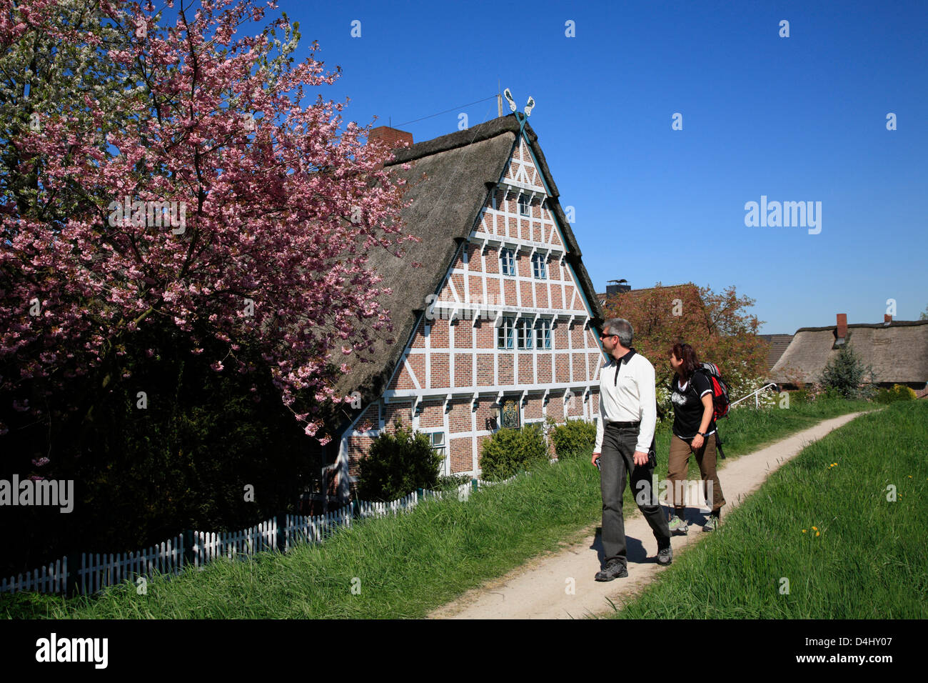 Altes Land, Wanderer, randonneur en face d'une ancienne ferme à colombages este dyke, Basse-Saxe, Allemagne Banque D'Images