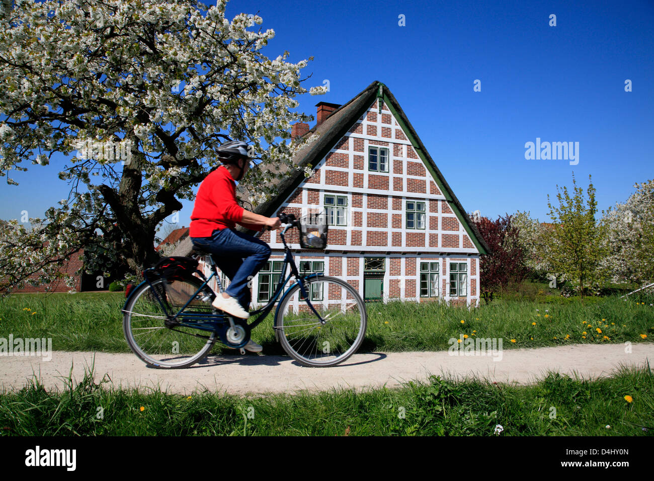 Altes Land, vieux pays, des cyclistes sur la rivière Este dyke, Basse-Saxe, Allemagne Banque D'Images