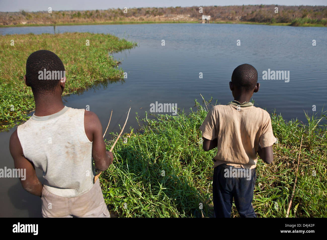 Des jeunes Africains de la pêche sur le lac de Kubatsirana Farm géré par un organisme de bienfaisance qui aident à fournir de la nourriture et le travail, au Mozambique. Banque D'Images