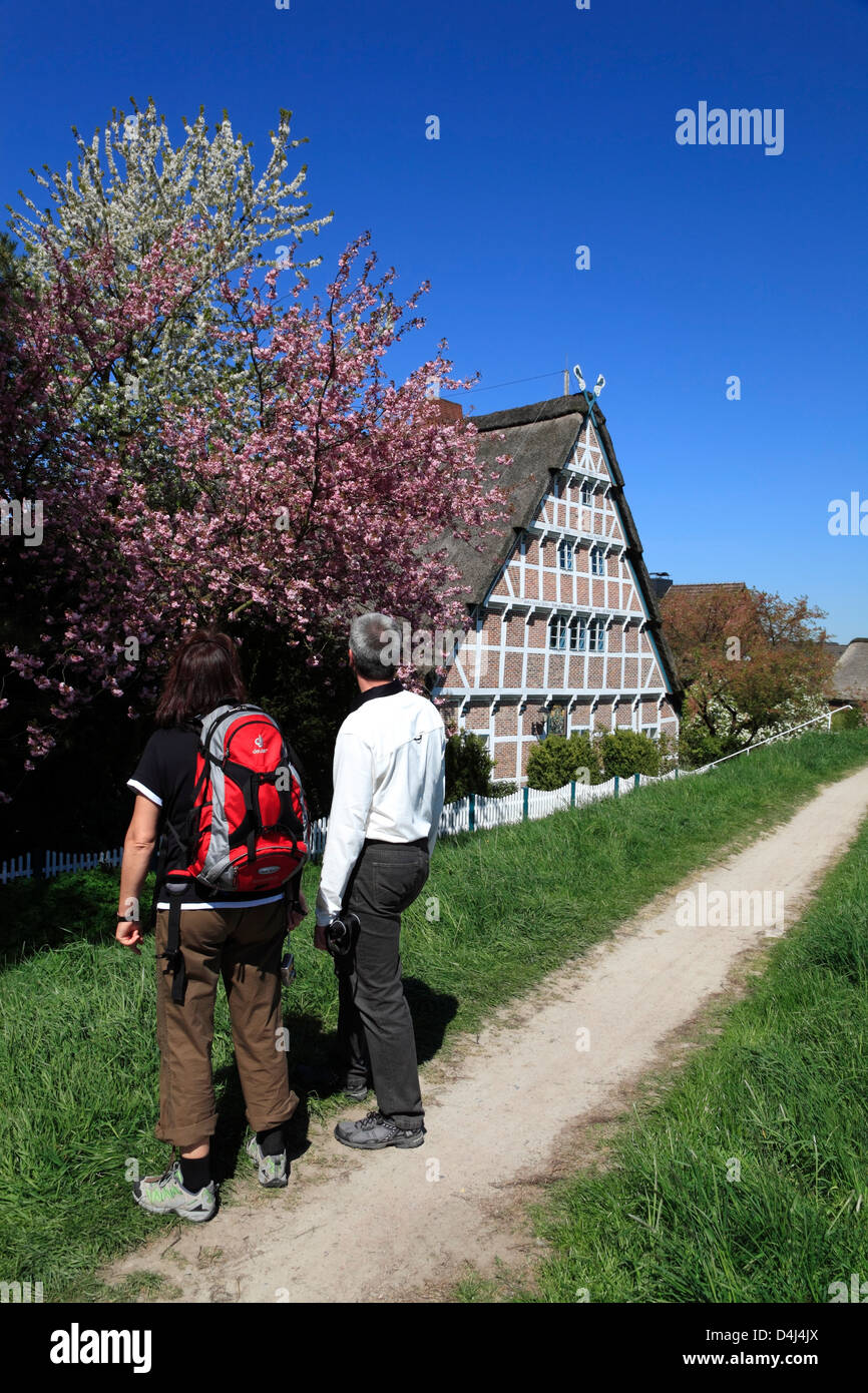 Altes Land, randonneur en face d'un cadre traditionnel à farmhous Este dyke, Basse-Saxe, Allemagne Banque D'Images