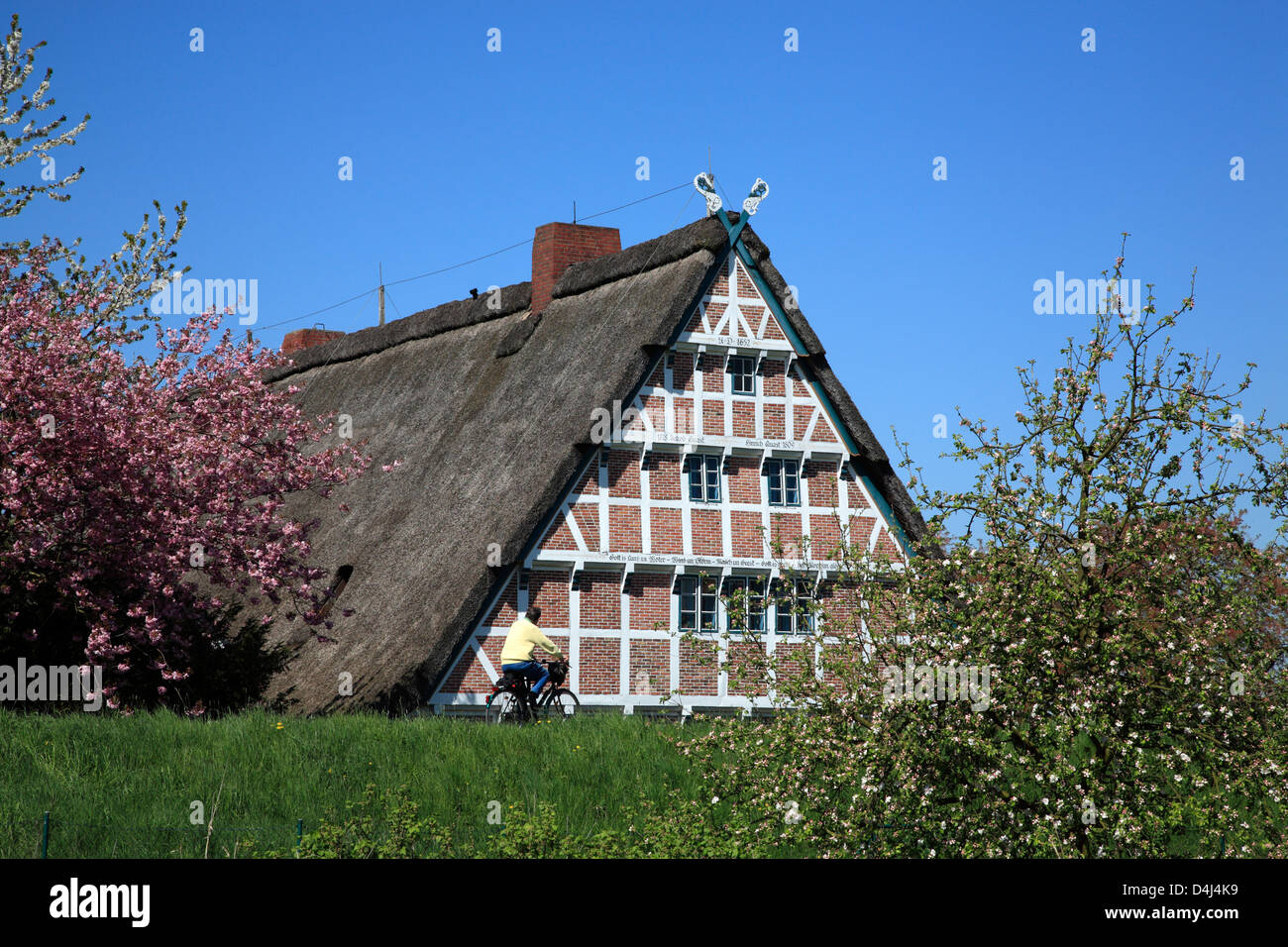 Altes Land, vieux pays, des cyclistes sur Este digue en face de chaumière Banque D'Images