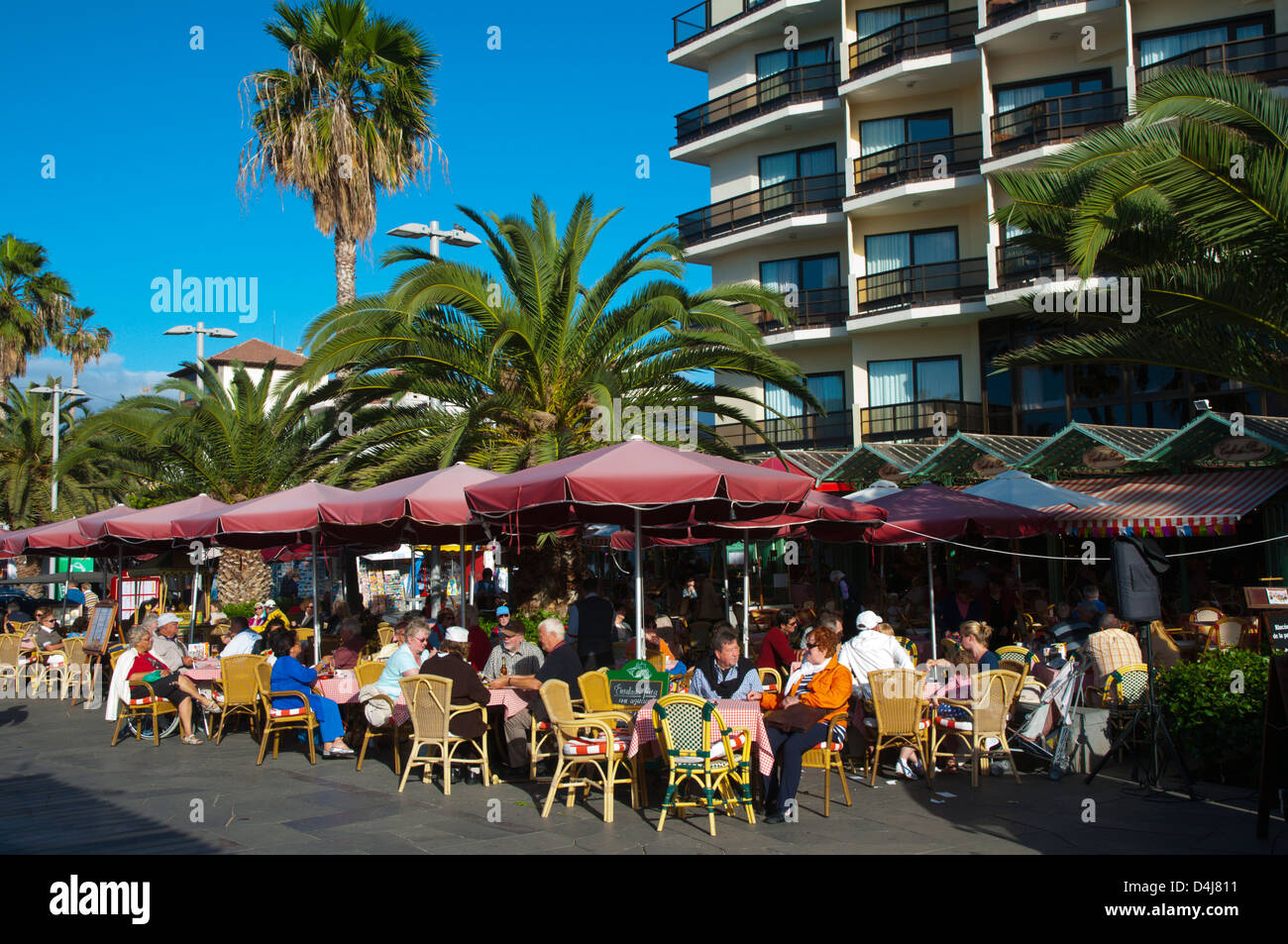 Terrasse de café, Avenida de Colon, Puerto de la Cruz, Tenerife, Iles Canaries Espagne Banque D'Images
