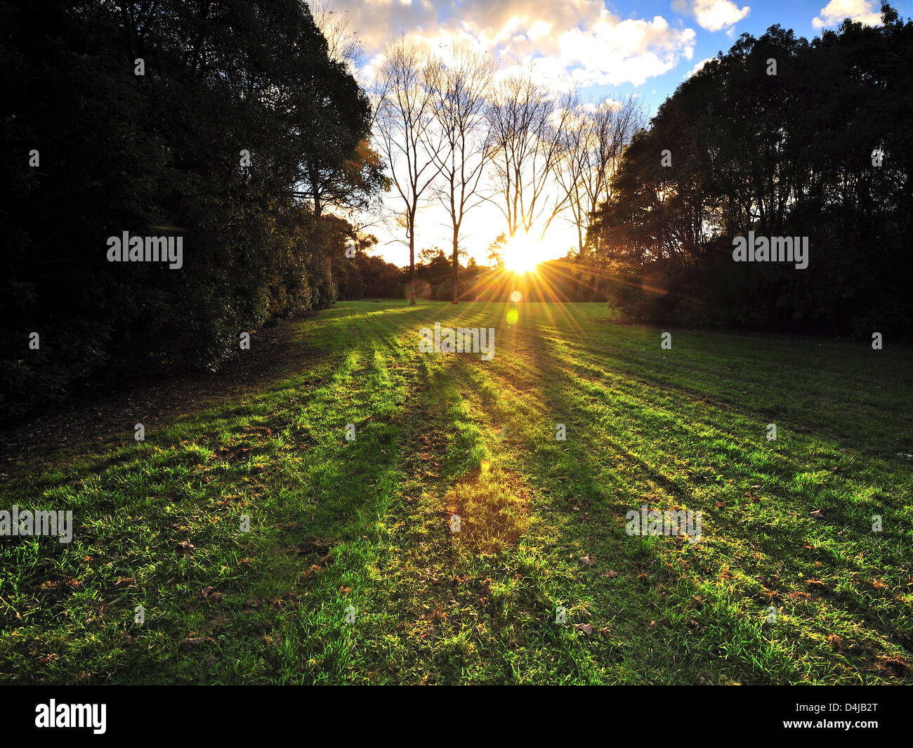 Coucher du soleil au parc de loisirs à la Nouvelle-Zélande Banque D'Images