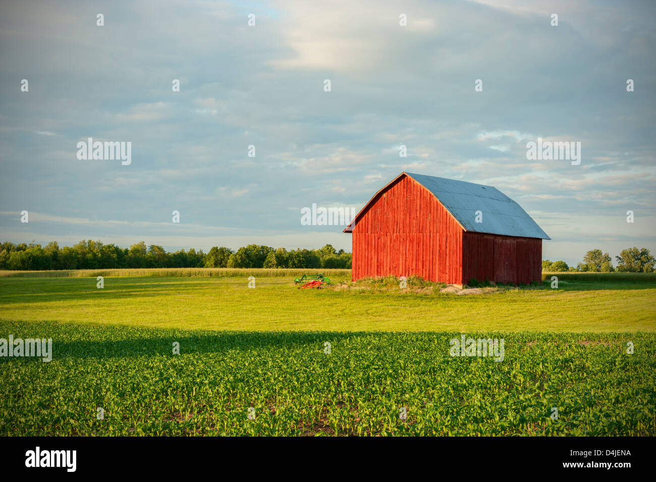 Grange rouge capture sur une soirée de fin d'été dans le Comté de Mason, Michigan, USA Banque D'Images