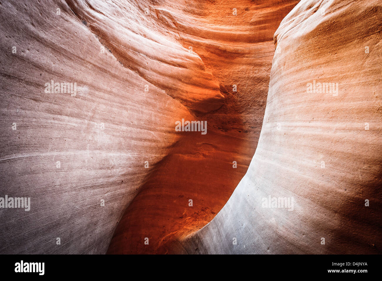 Peek-A-Boo slot canyon, trou dans un Rock Road, Grand Escalier Monument National, Utah, USA Banque D'Images