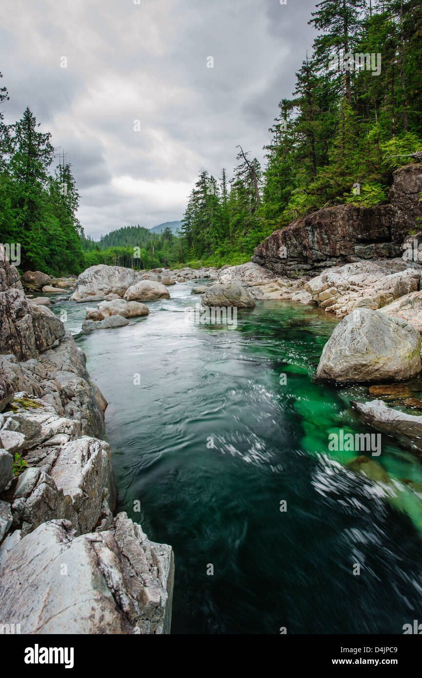 Petite rivière sur Sutton Pass, l'île de Vancouver, Canada Banque D'Images