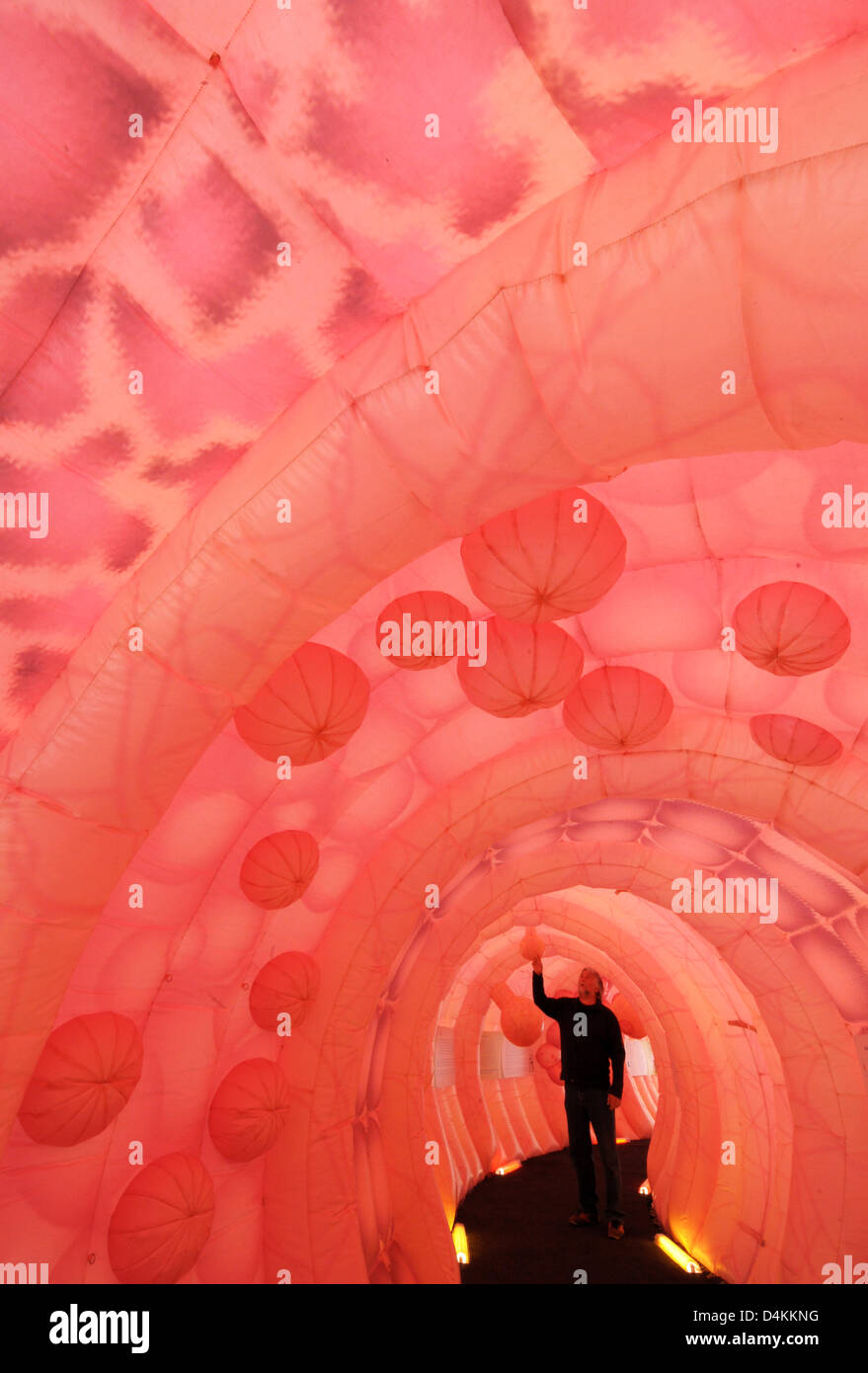 Un homme se tient à l'intérieur d'un 30-mètres de long réplique de l'intestin humain à Dresde, Allemagne, 05 mai 2009. Le modèle de dépistage du cancer de l'intestin favorise avec afficher les fonctions d'un intestin et maladies possibles. Mesures de l'intestin humain sept à neuf mètres. Photo : RALF HIRSCHBERGER Banque D'Images