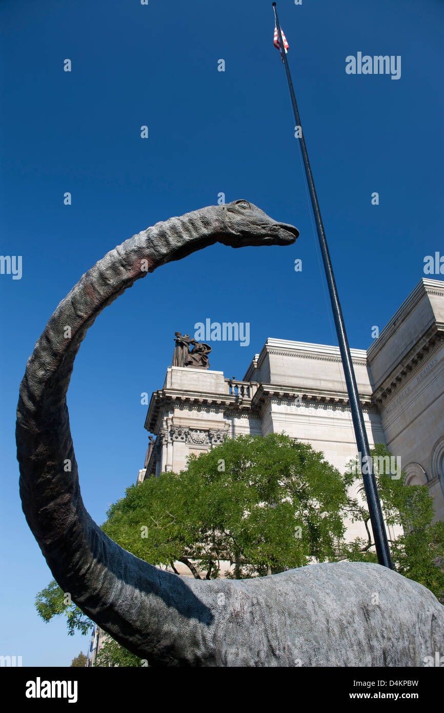 STATUE DE DINOSAURE DIPLODOCUS CARNEGIE MUSEUM OF NATURAL HISTORY