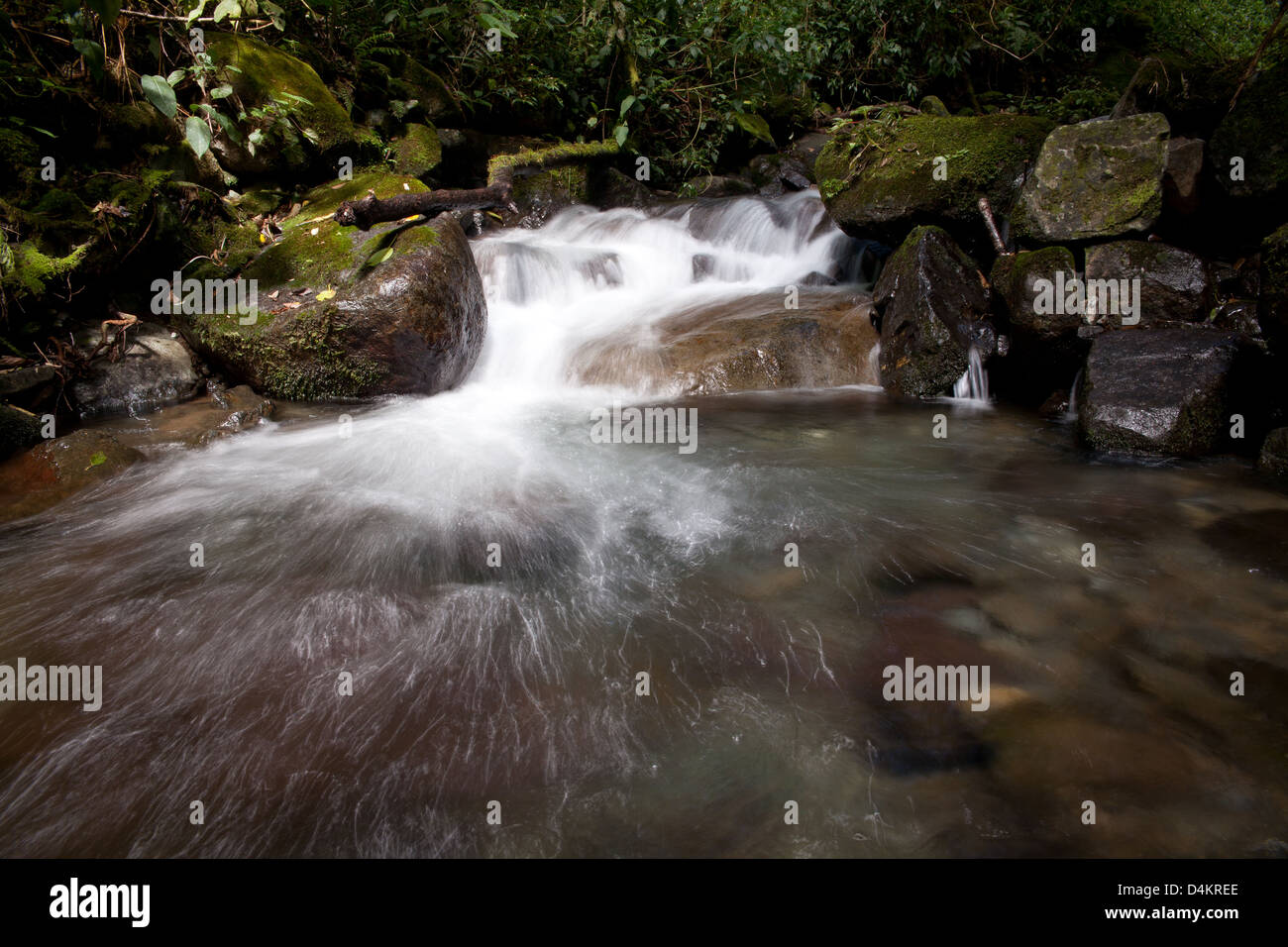 Rivière dans le parc national de La Amistad, Chiriqui province, République du Panama. Banque D'Images