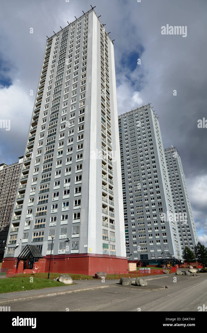 Red Road, Glasgow, appartements en hauteur sur Petershill Drive, Balornock, Écosse, Royaume-Uni Banque D'Images