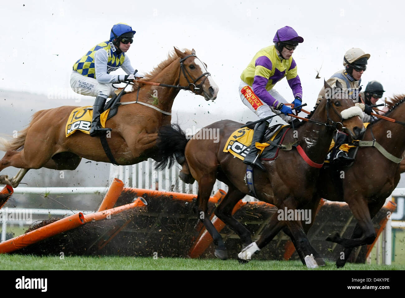 Cheltenham, Royaume-Uni. 15 mars 2013. Le champ libre à un obstacle dans la JCB Triumph Hurdle sur trois jours (jour) de la Gold Cup de Cheltenham Festival National de la chasse. Credit : Action Plus de Sports / Alamy Live News Banque D'Images