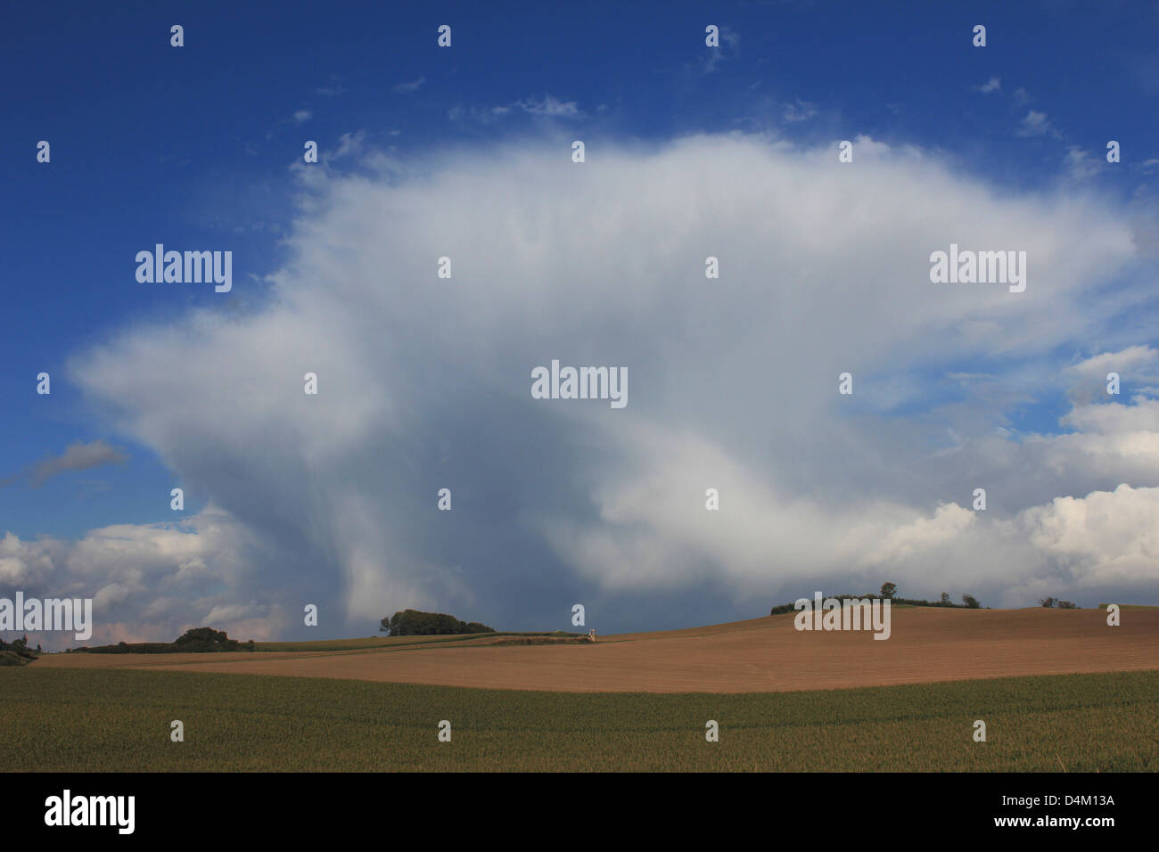 Cumulonimbus capillatus incus, près de meschede, coesfeld, NRW, Allemagne Banque D'Images