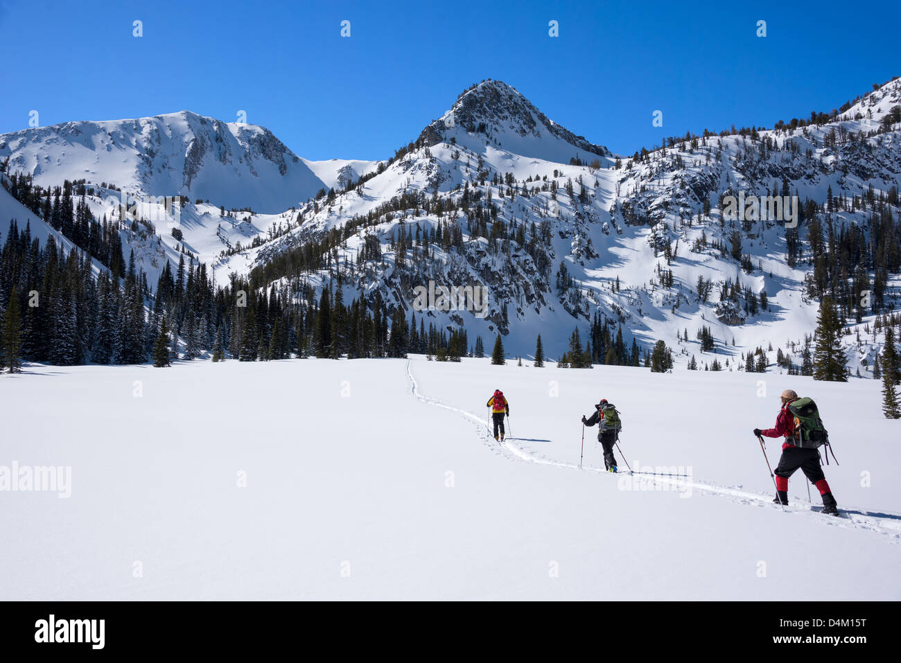 Le ski dans les montagnes Wallowa anéroïde, du bassin, de l'Oregon. Banque D'Images