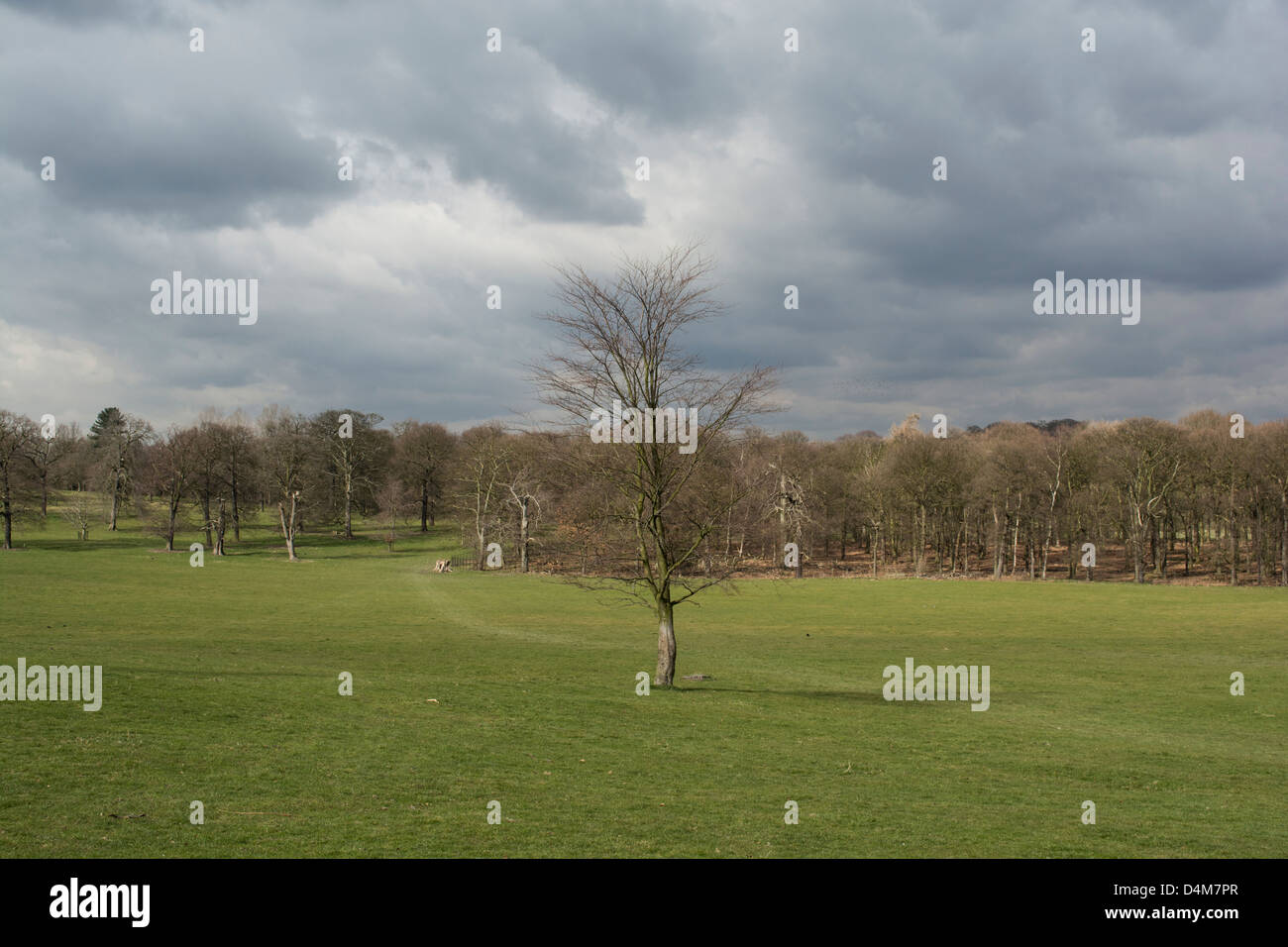 Une journée ensoleillée avec des nuages gris hivers Banque D'Images