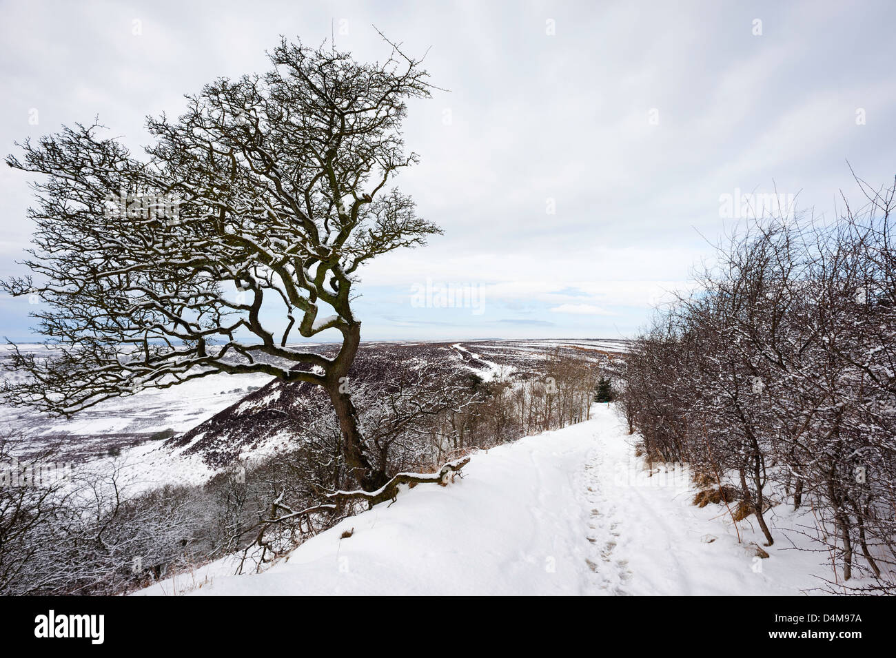 La neige sur le trou de Horcum dans le North York Moors National Park entre Levisham Goathland et dans le Nord du Yorkshire, UK, Banque D'Images