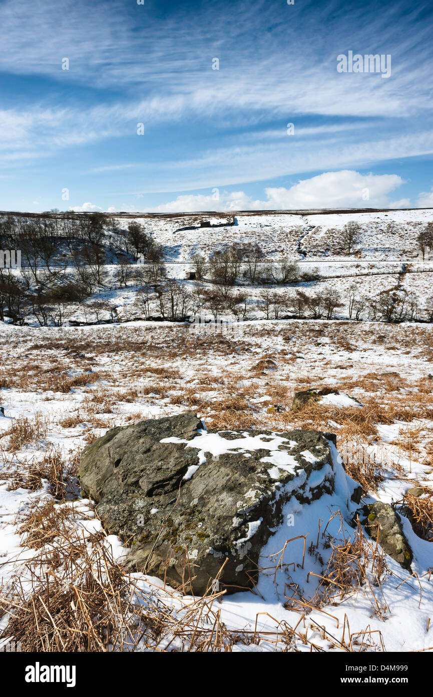 Landes couvertes de neige dans le North York Moors National Park près du village de Goathland dans Yorkshire du nord Banque D'Images