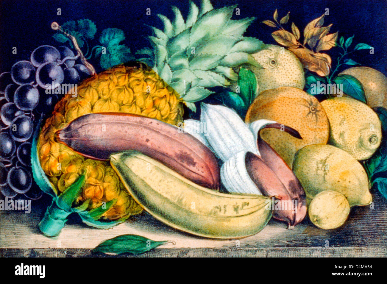 Fruits des tropiques - still life Banque D'Images