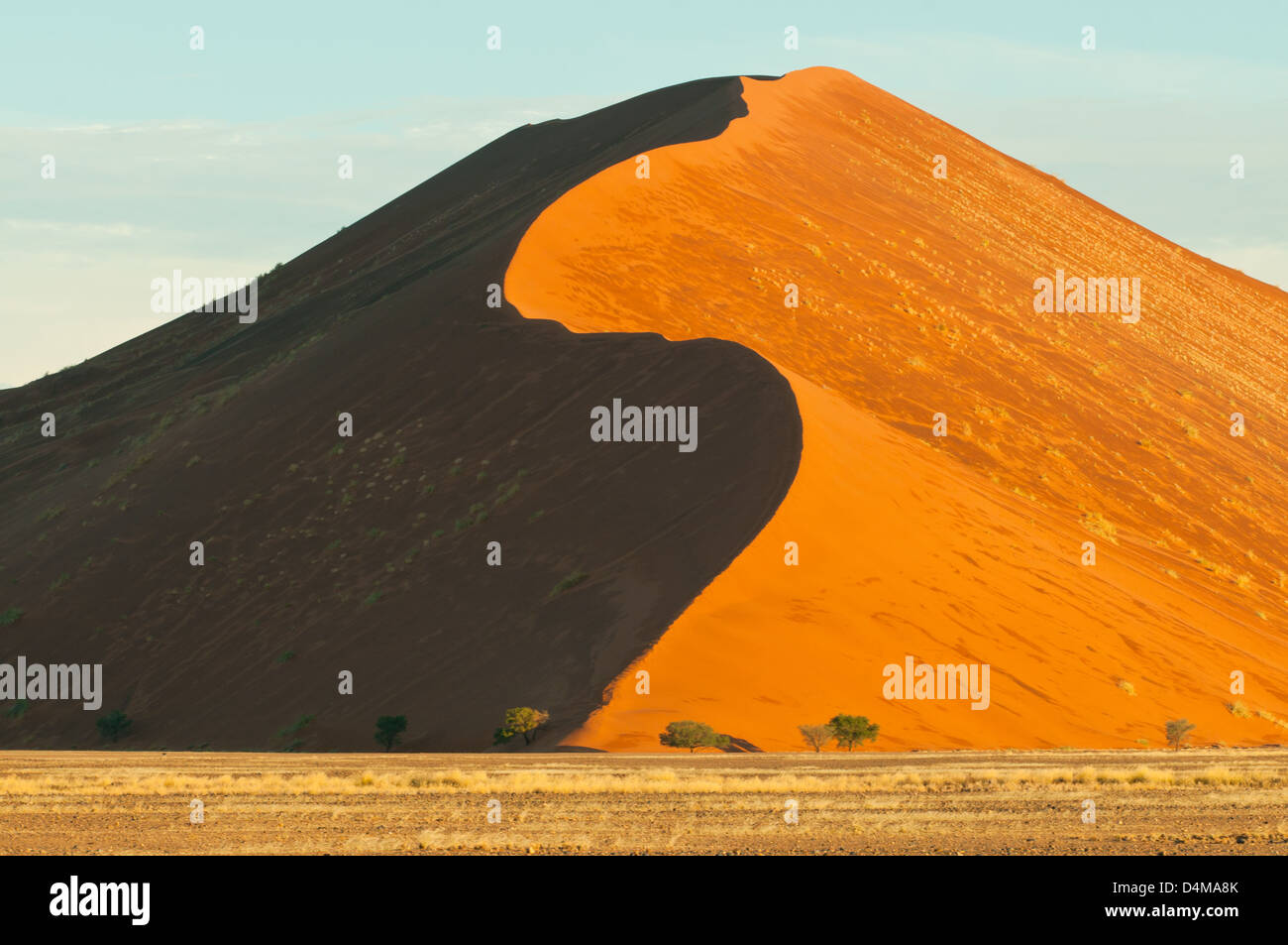 Dune à Sossusvlei, Namib-Naukluft National Park, Namibie Banque D'Images