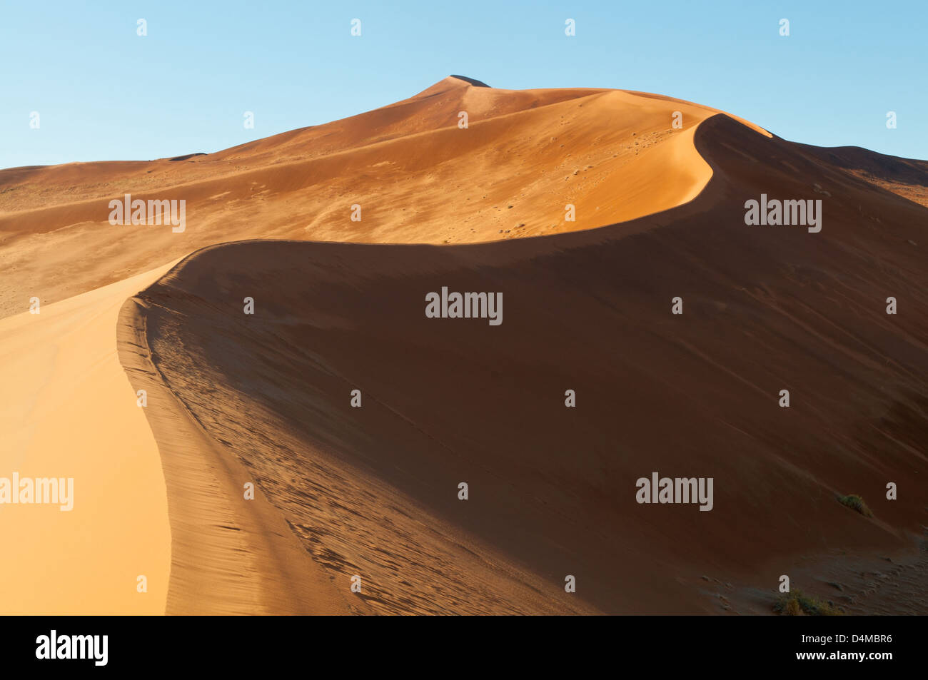 Bord de vierges, de dunes de Sossusvlei Namib-Naukluft National Park, Namibie Banque D'Images