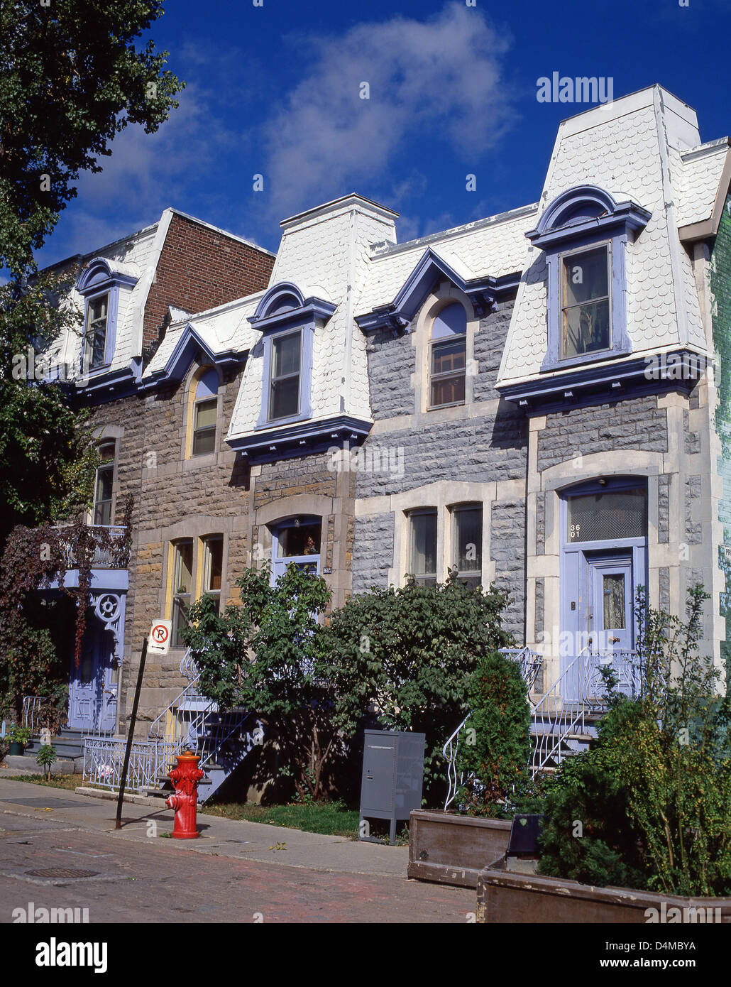 Maisons dans le arrondissement du Plateau-Mont-Royal à l'automne, Montréal (Ville de Montréal), Québec, Canada Banque D'Images