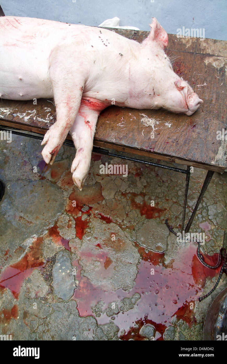La Havane, Cuba, l'abattage de porcs à San Miguel Banque D'Images