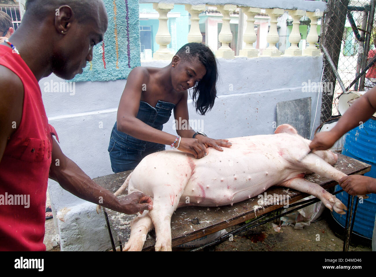 La Havane, Cuba, l'abattage de porcs à San Miguel Banque D'Images