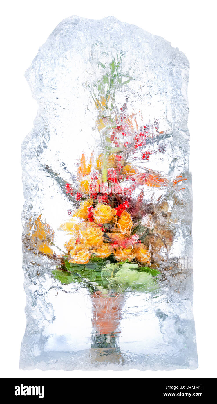 Collage . Des fleurs fraîches, congelées dans un bloc de glace Banque D'Images