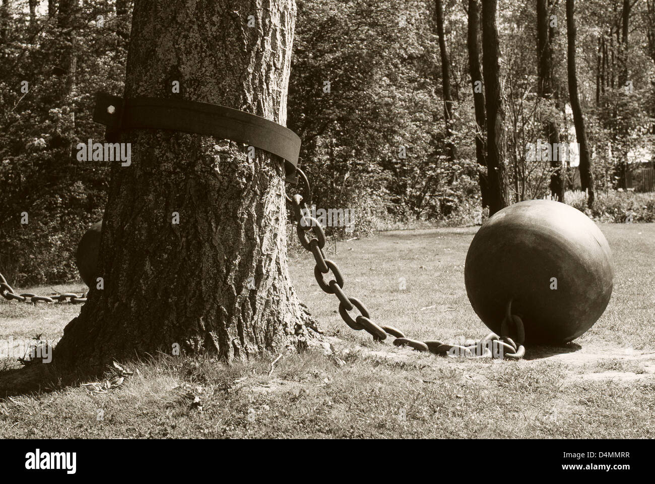 Tree sculpture, Floriade, Holland Banque D'Images